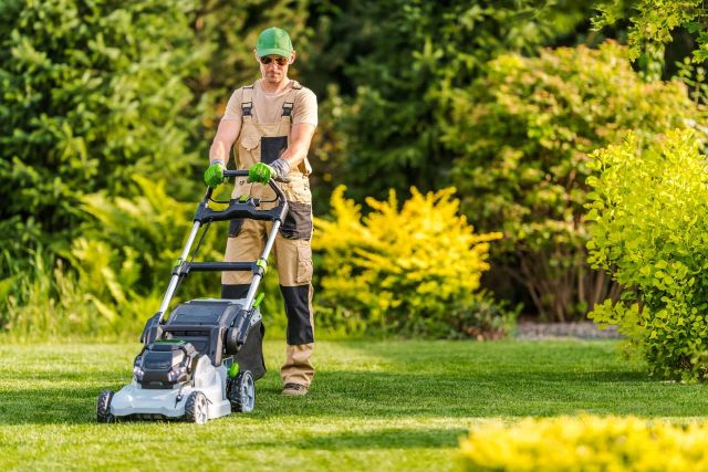 Beyond Green Mastering the Art of Top Tier Lawn Care and Landscaping